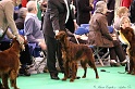 Crufts2011 171